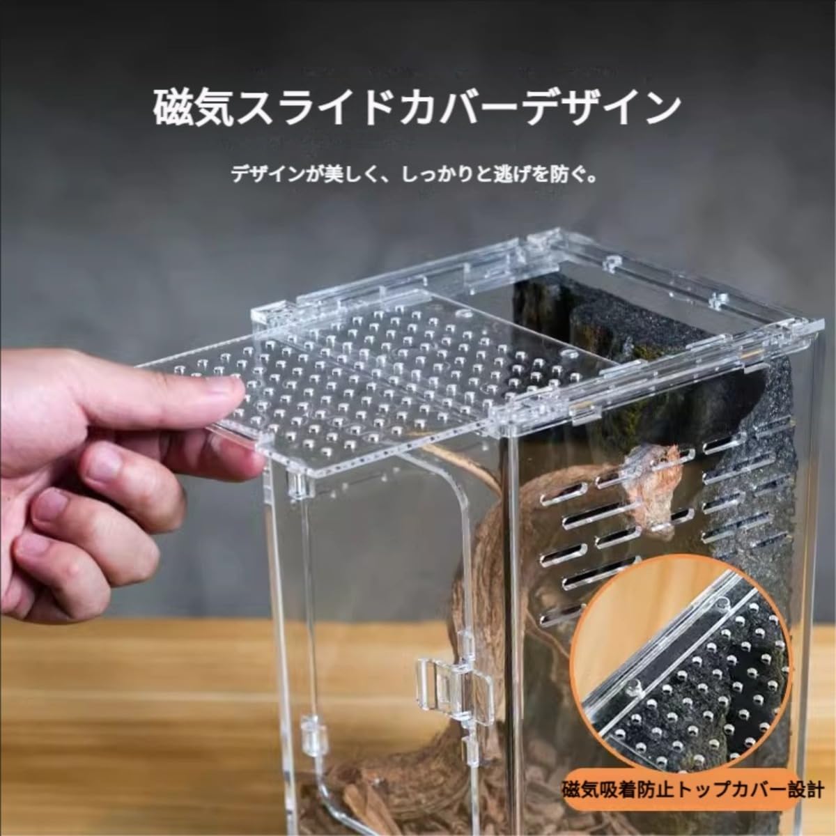 Amazon | ChoyClit レプタイルボックス 爬虫類 飼育ケース 虫かご 大